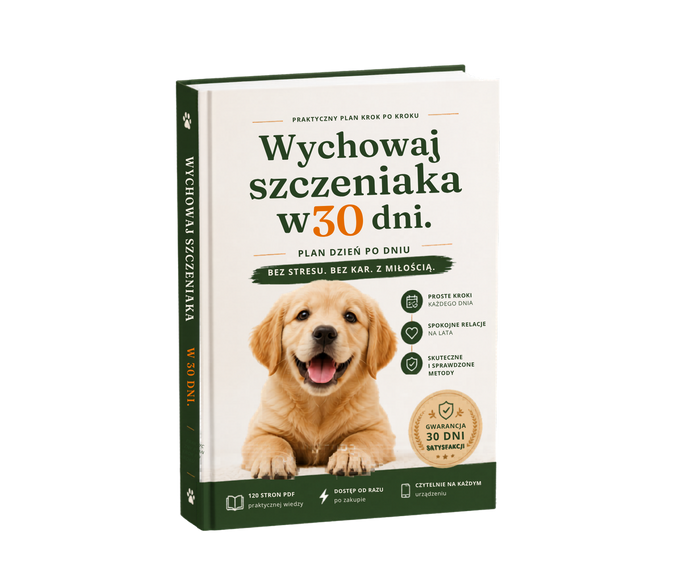 Okładka ebooka